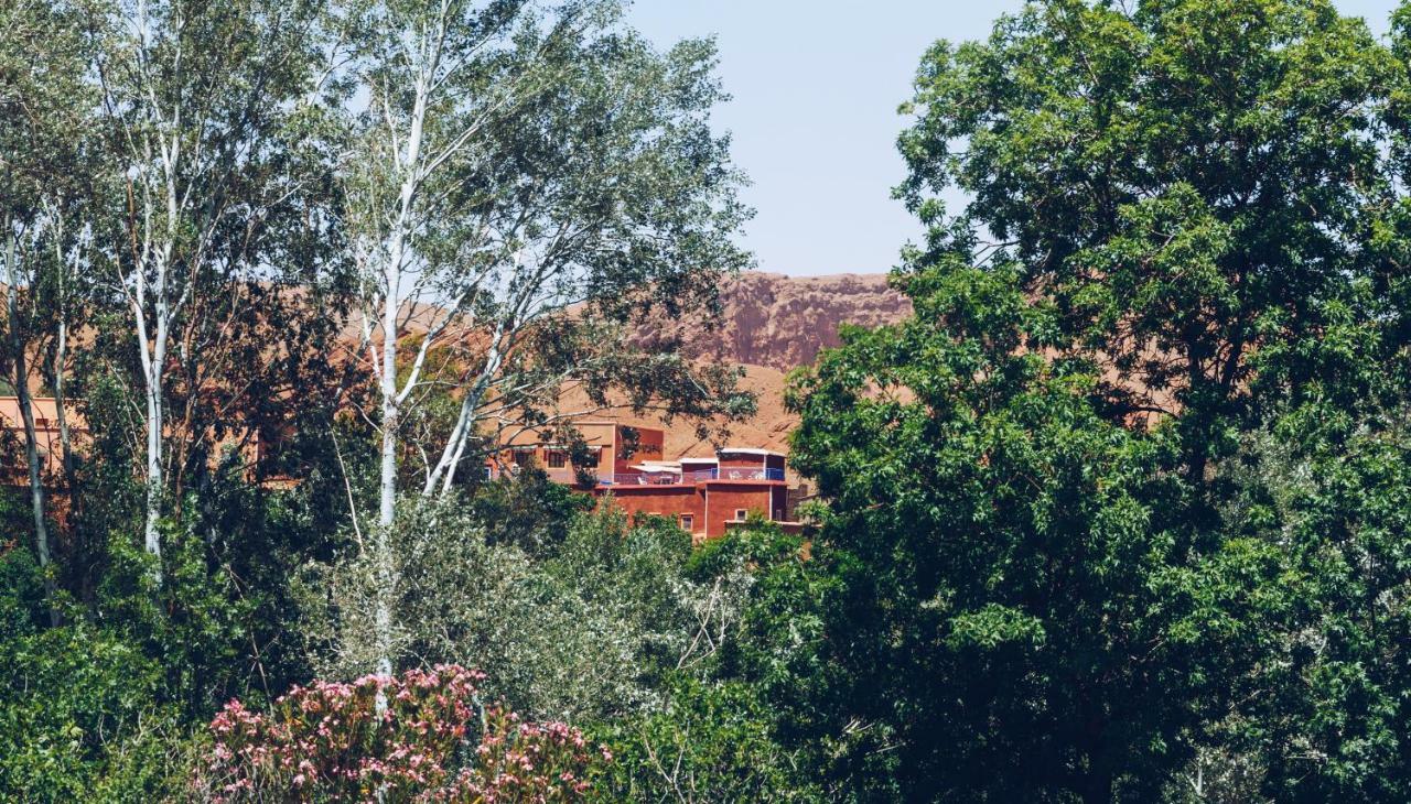 ホテル Monkey Fingers House By Fatima Mellal タンギール エクステリア 写真